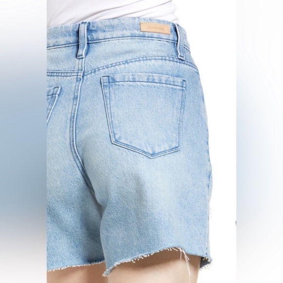 BLANKNYC The Warren Distressed Denim Shorts | Size 31 - Picture 4 of 15